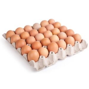 Large Eggs