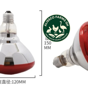 Brooder Bulb