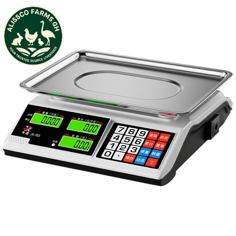 Weighing Scale - Image 2