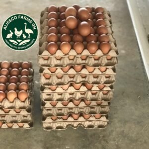 UNSORTED EGGS