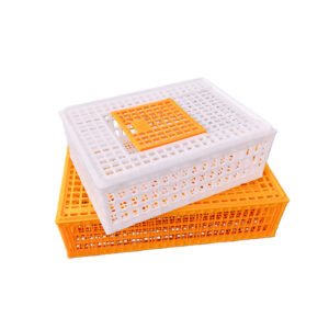 Transport Cage (Large)