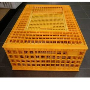 Transport Cage (Large) - Duplicated