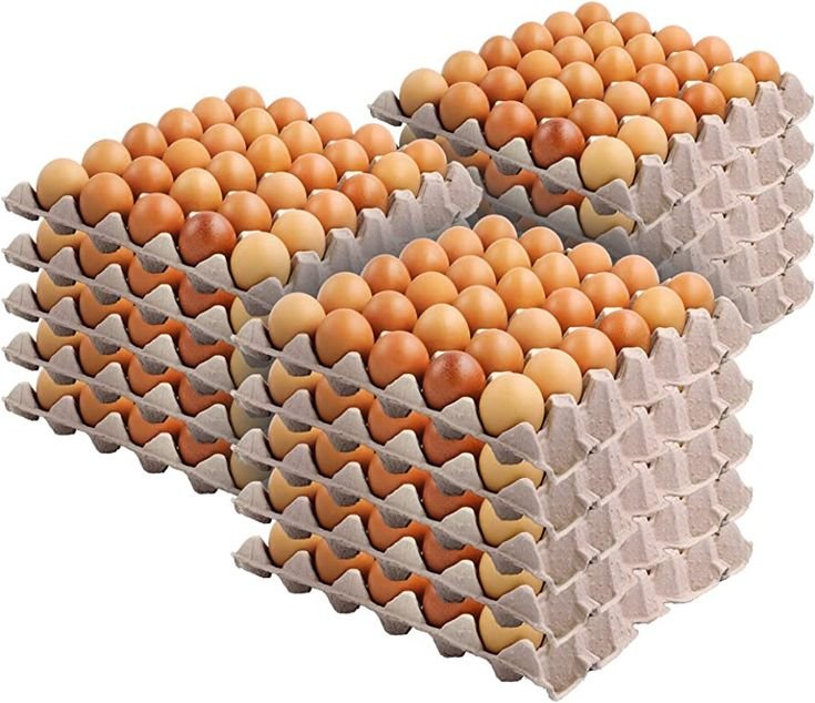 Unsorted Eggs - Image 2