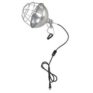 Brooder Bulb