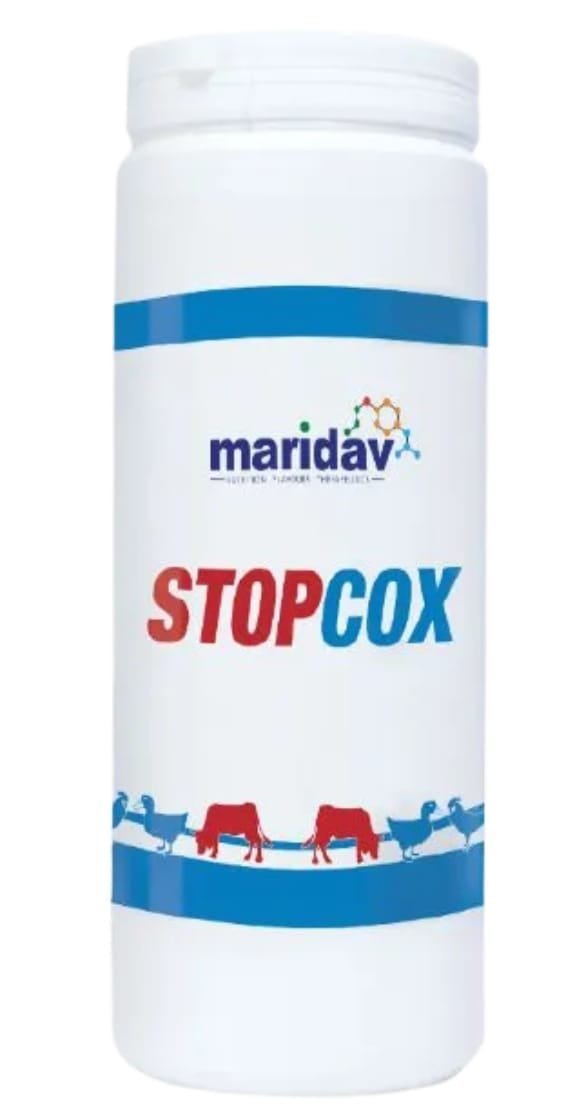 Stopcox 100g - Image 2