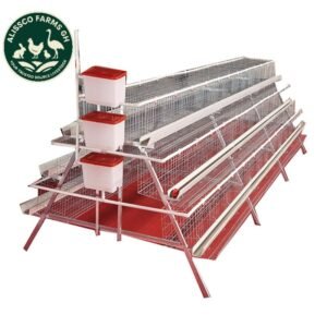 3-Tier Layer Battery Cages