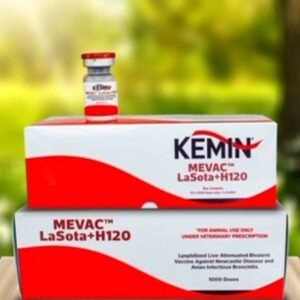 LASOTA VACCINE+IB  [ND+H120]