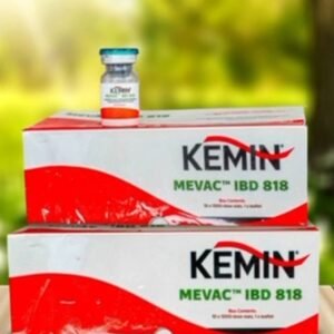 GUMBORO PLUS VACCINE [IBD, 818]