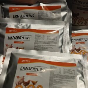 ERNSERYL WS