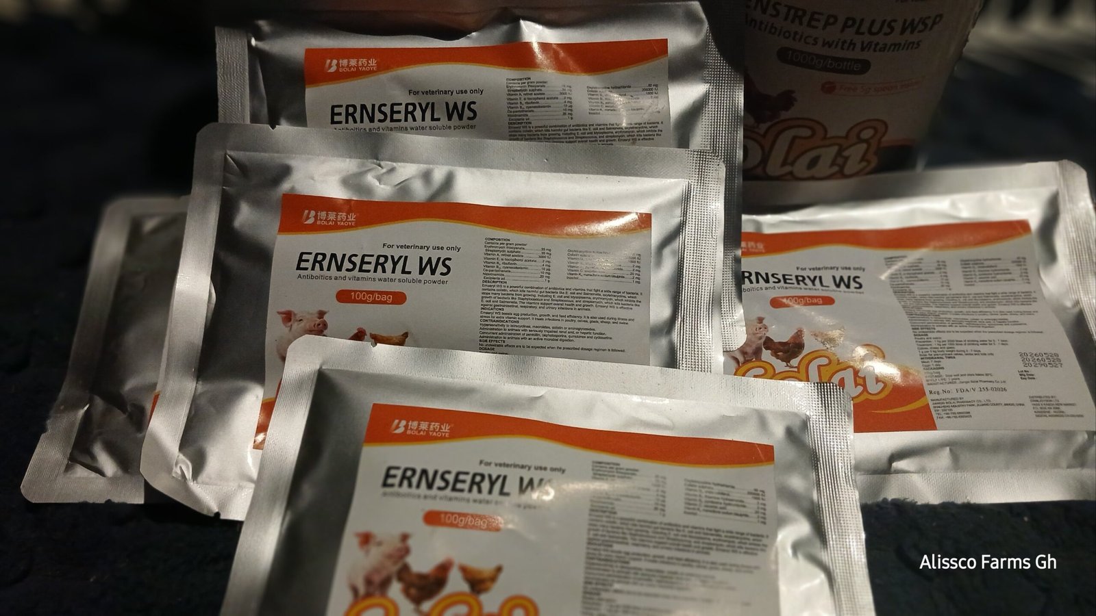 ERNSERYL WS